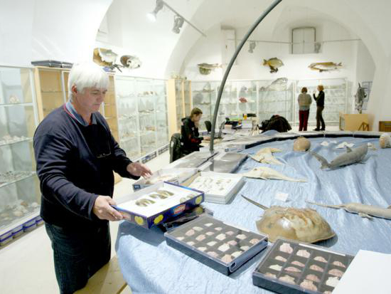 Stalna izložba vodenog svijeta udruge Gloria Maris i Turističke zajednice grada Osijeka.