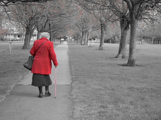 Starica šeta, ilustracija.