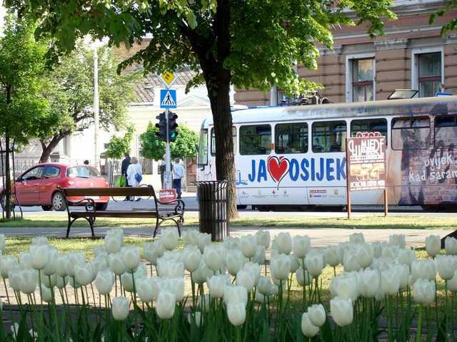 Osijek, ilustracija