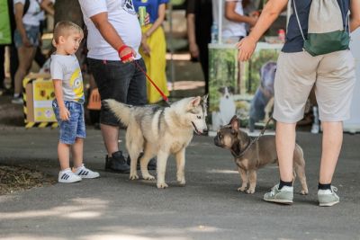 Festival-Psi-Zagreb